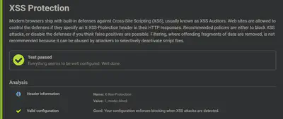 Hardenize XSS Protection