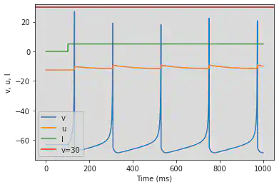 Thalamo-Cortical (TC)