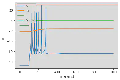 Thalamo-Cortical (TC)