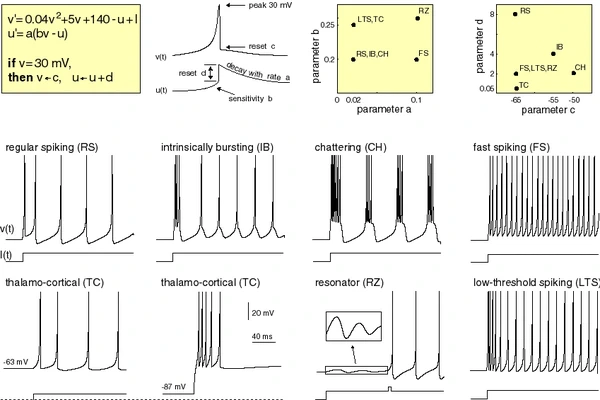 Spiking Neural Network