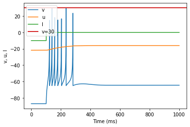 Thalamo-Cortical (TC)