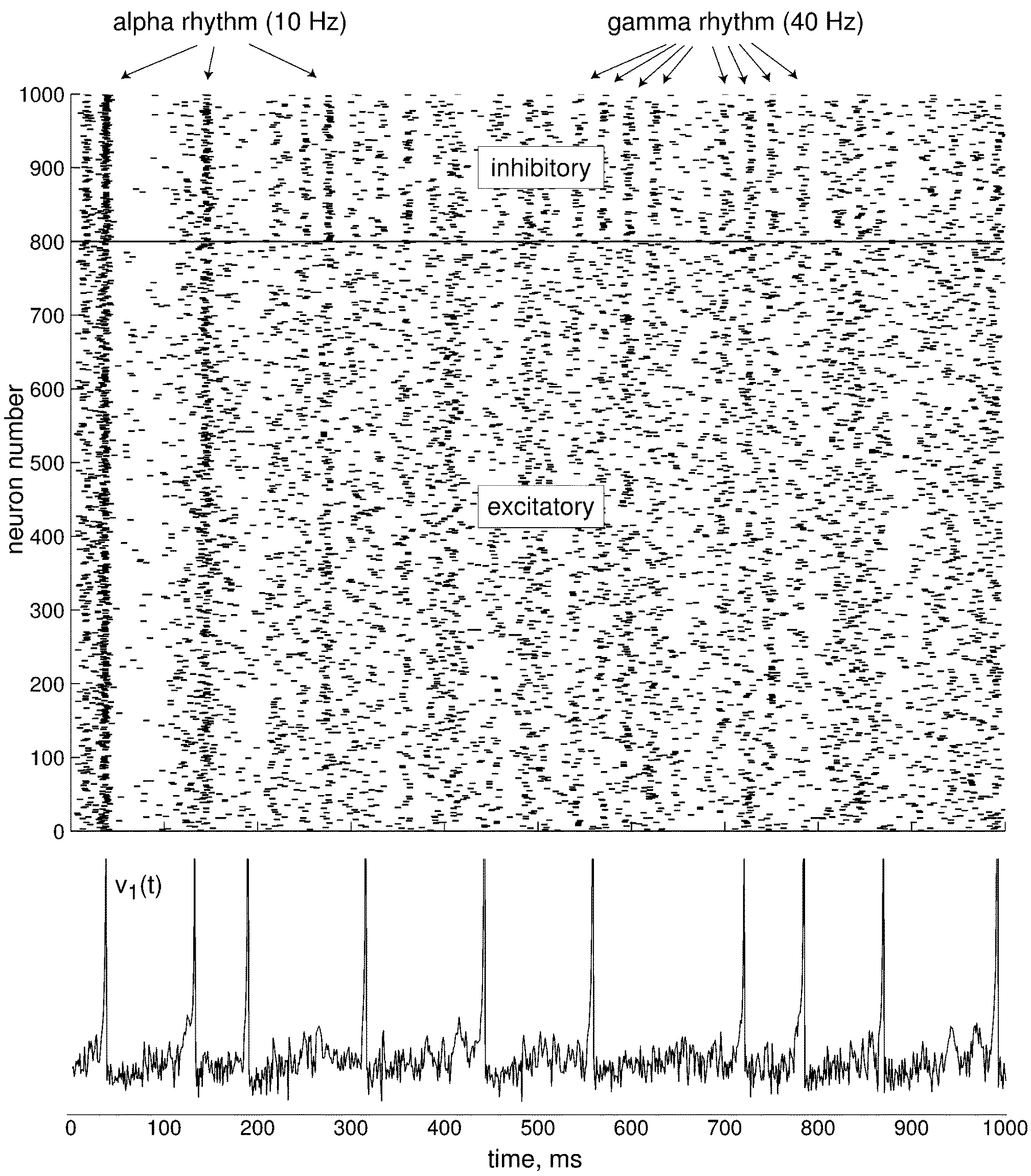 This simulation creates a network of 1000 neurons, 800 excitatory and 200 inhibitory